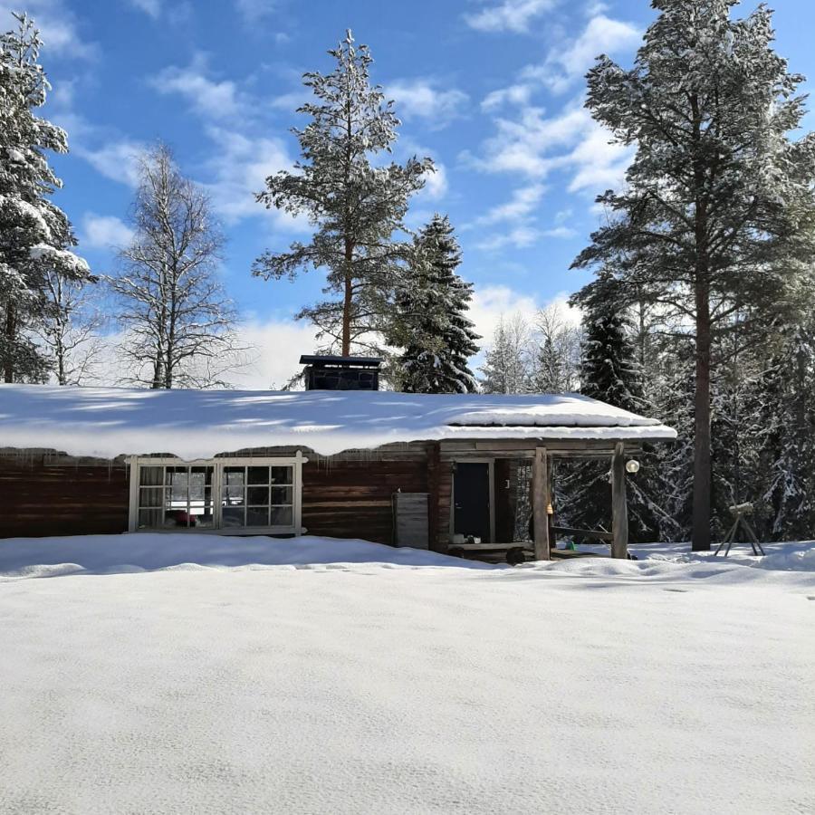 Ollero Eco Lodge 罗瓦涅米 外观 照片