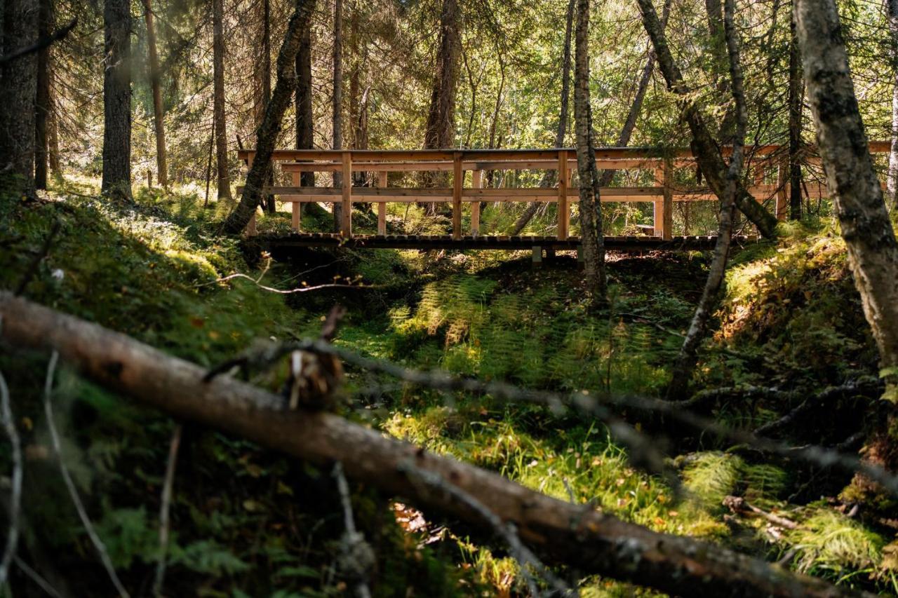 Ollero Eco Lodge 罗瓦涅米 外观 照片